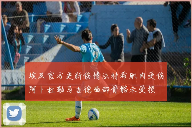 埃及官方更新伤情法特希肌肉受伤阿卜杜勒马吉德面部骨骼未受损