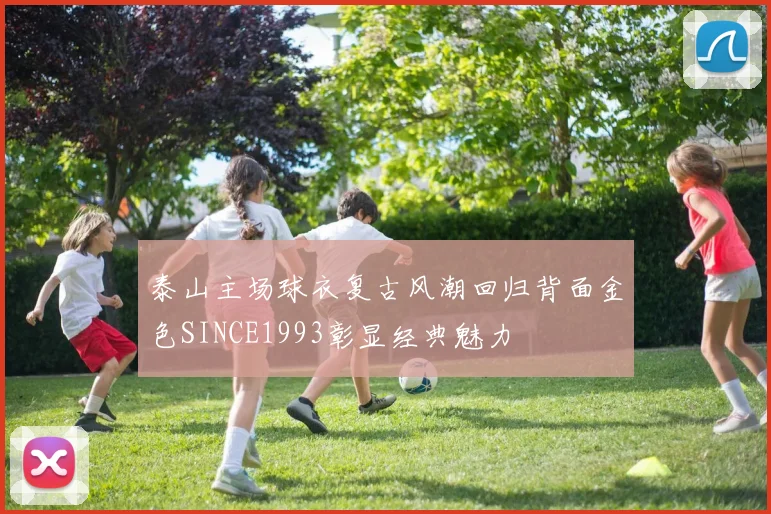 泰山主场球衣复古风潮回归背面金色SINCE1993彰显经典魅力